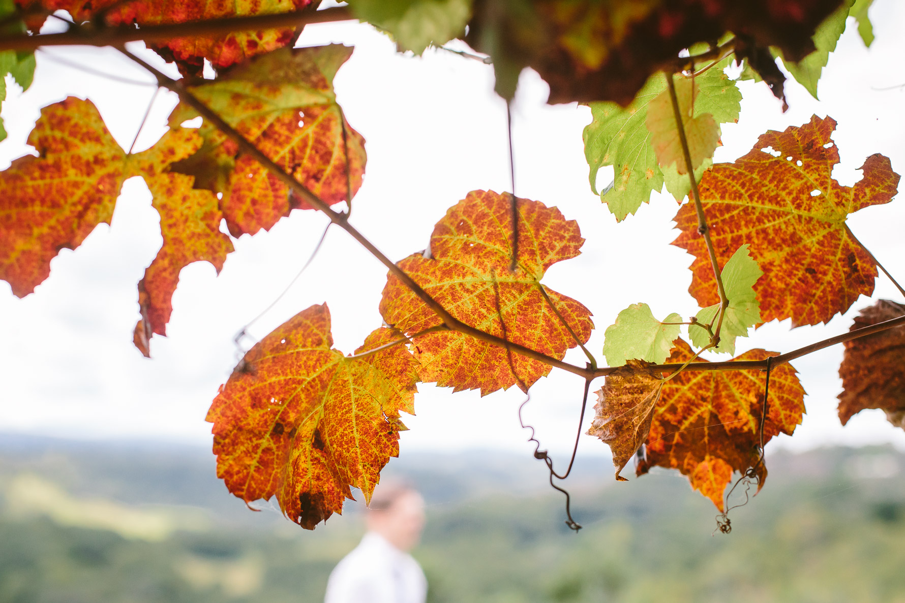 Emma & Nick Wedding_Web-9473